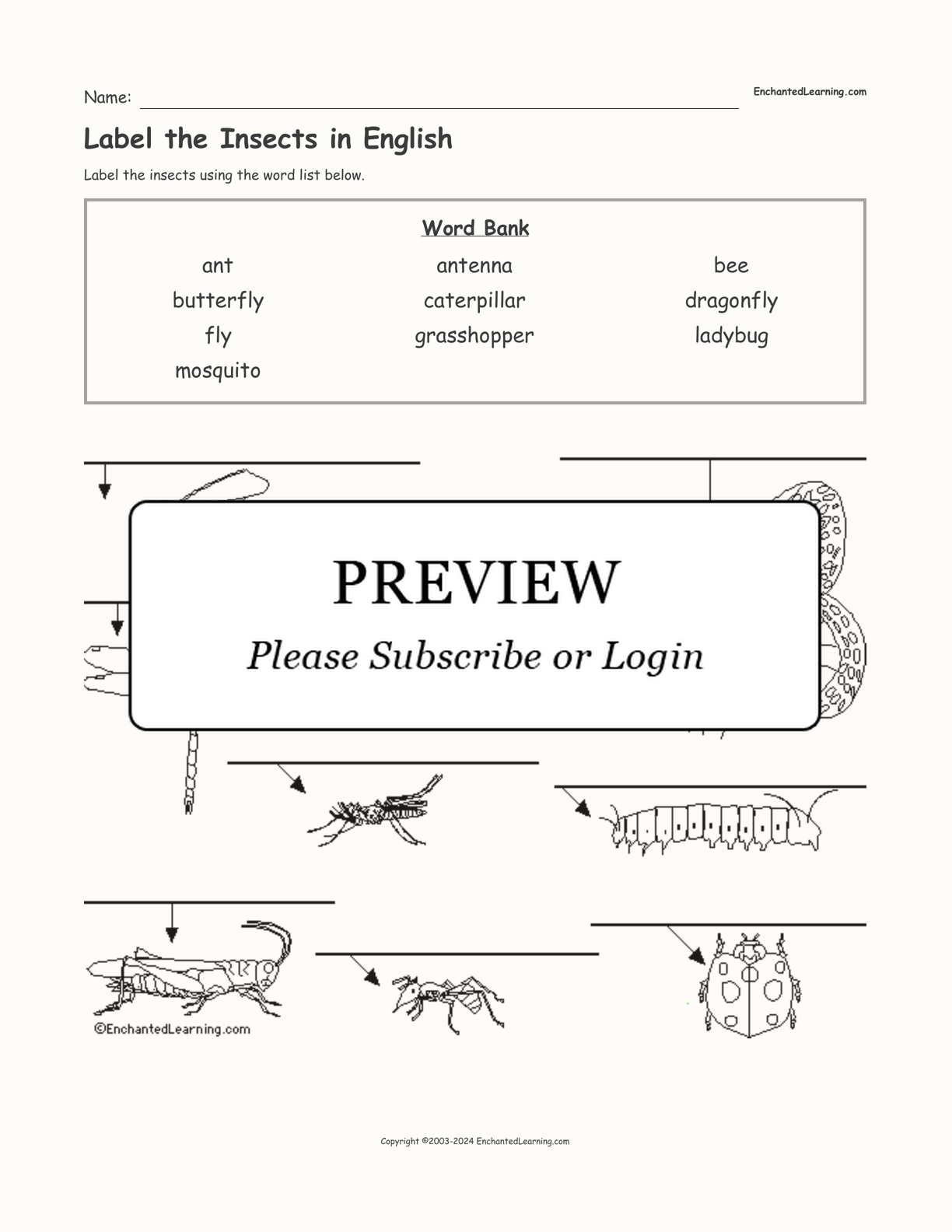 Label the Insects in English interactive worksheet page 1