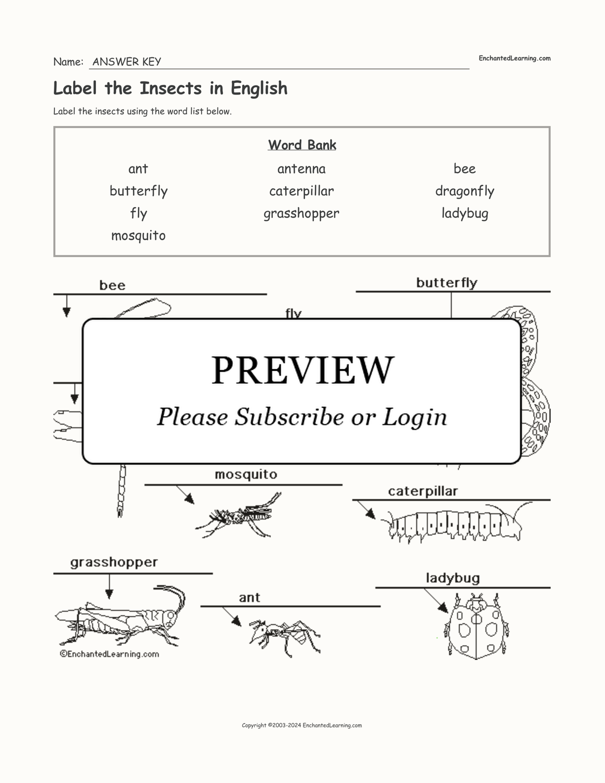 Label the Insects in English interactive worksheet page 2