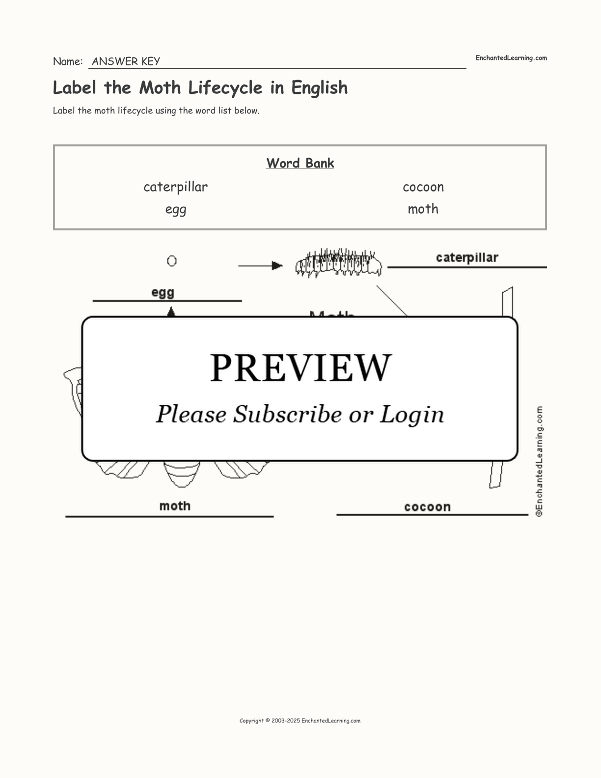 Label the Moth Lifecycle in English interactive worksheet page 2