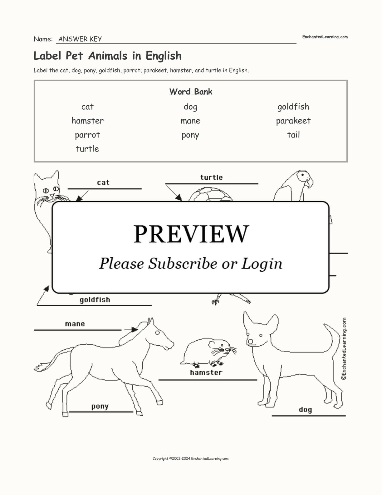 Label Pet Animals in English interactive worksheet page 2