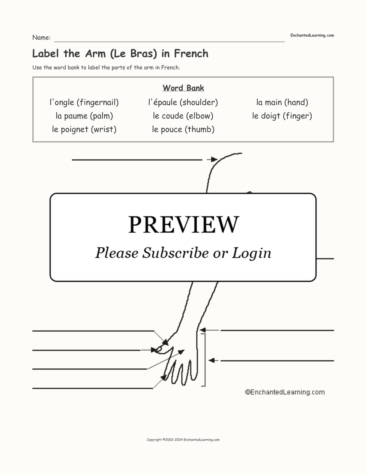 Label the Arm (Le Bras) in French interactive worksheet page 1