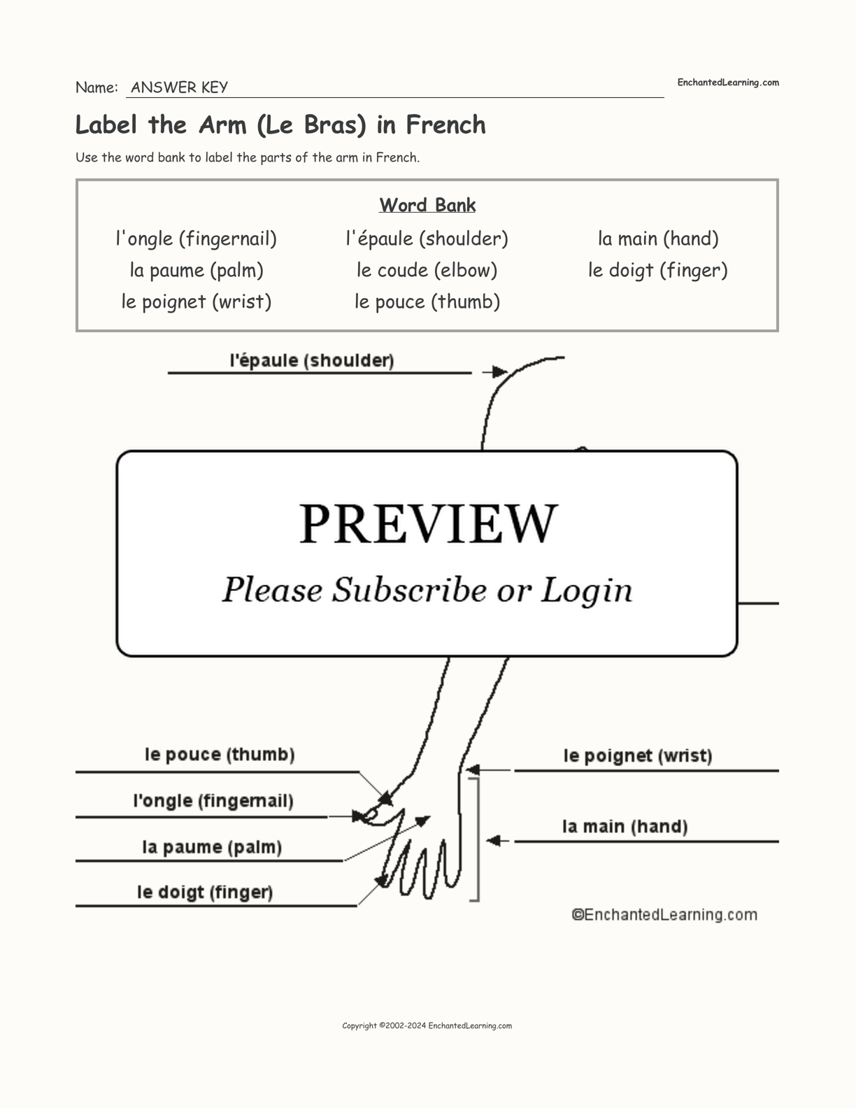 Label the Arm (Le Bras) in French interactive worksheet page 2