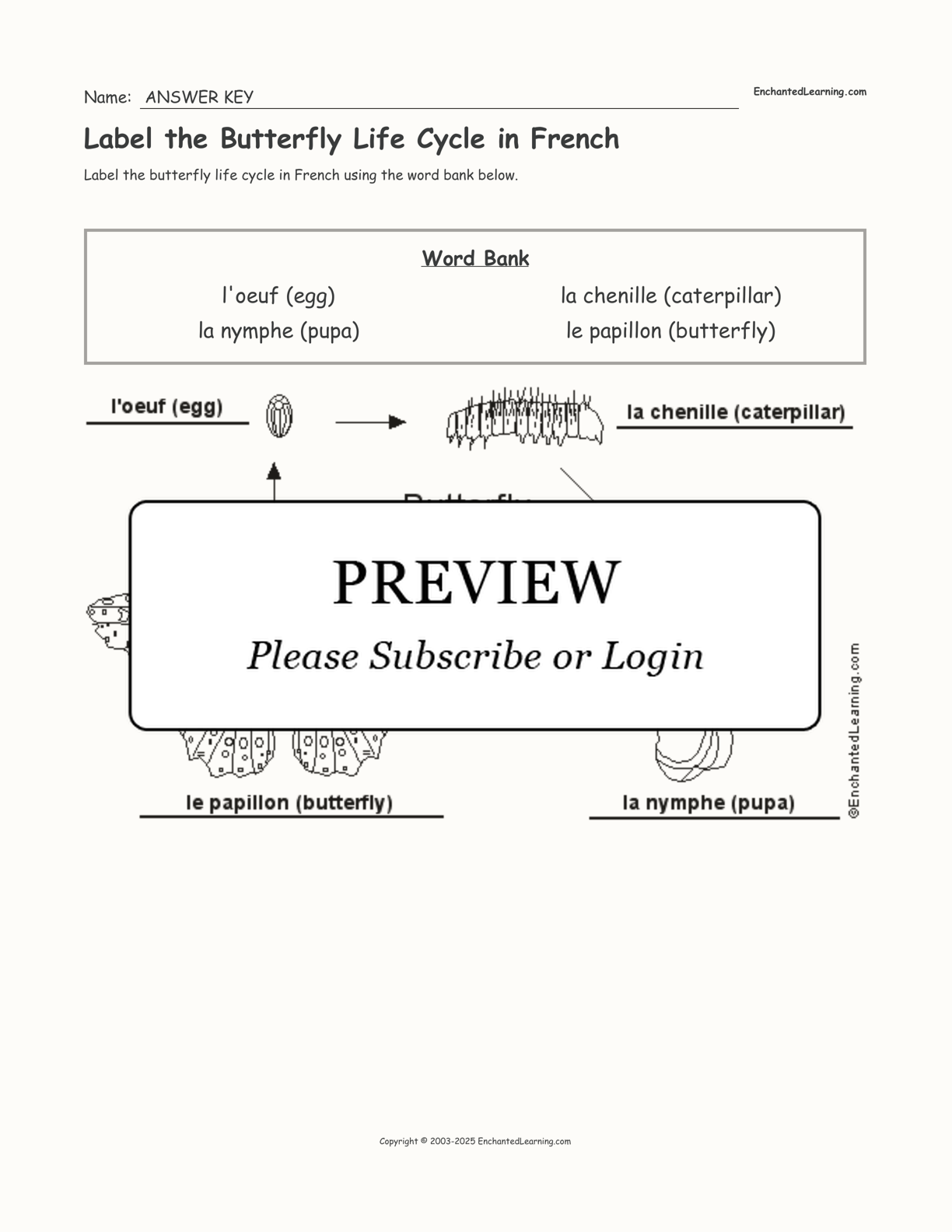 Label the Butterfly Life Cycle in French interactive worksheet page 2