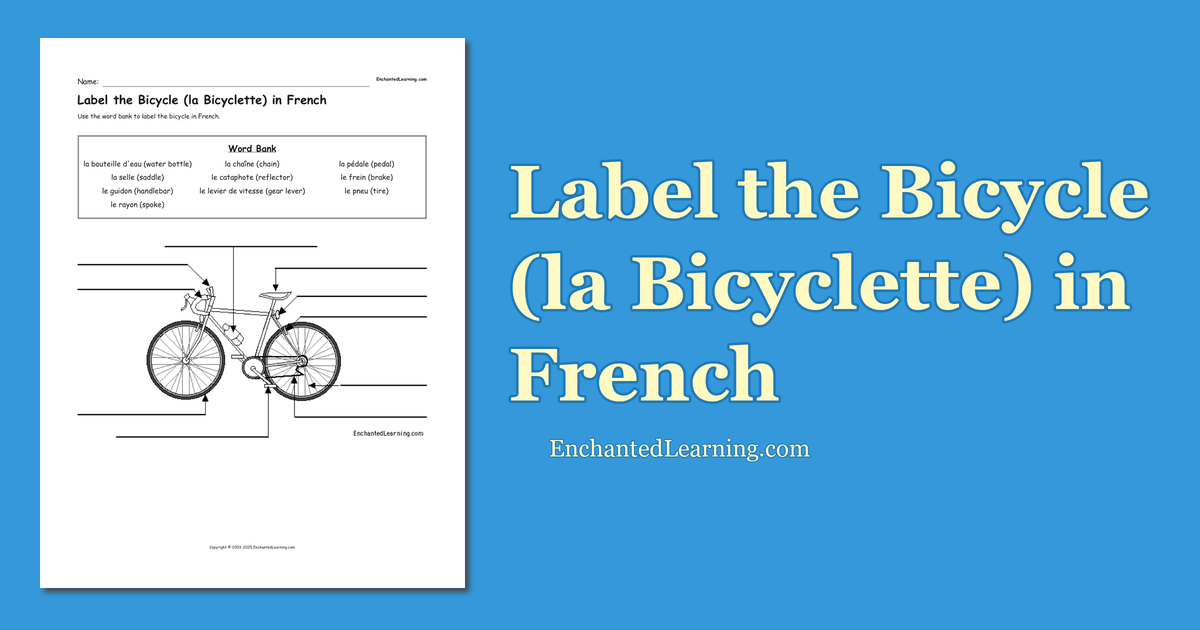 velo in french means