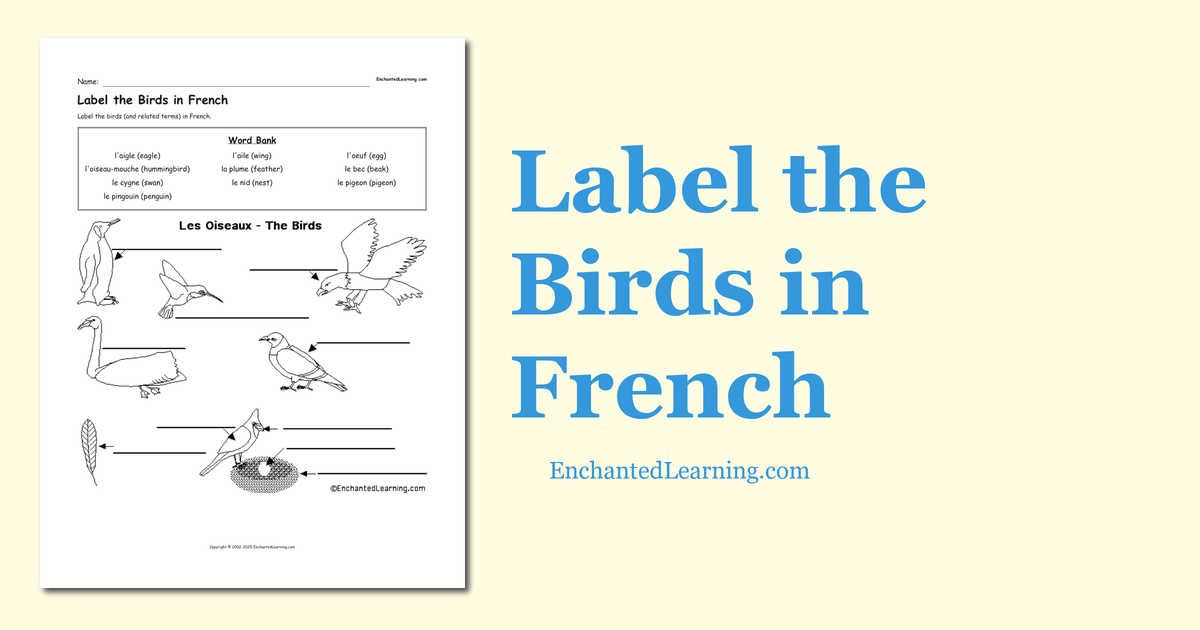 Label the Birds in French Enchanted Learning