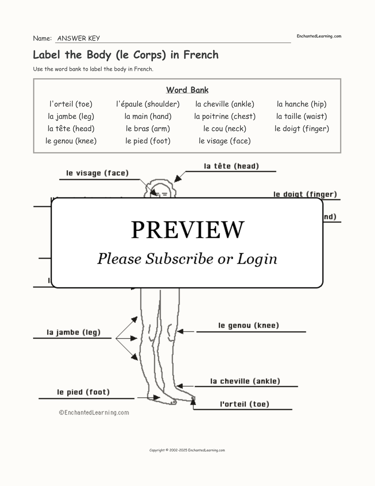 Label the Body (le Corps) in French interactive worksheet page 2