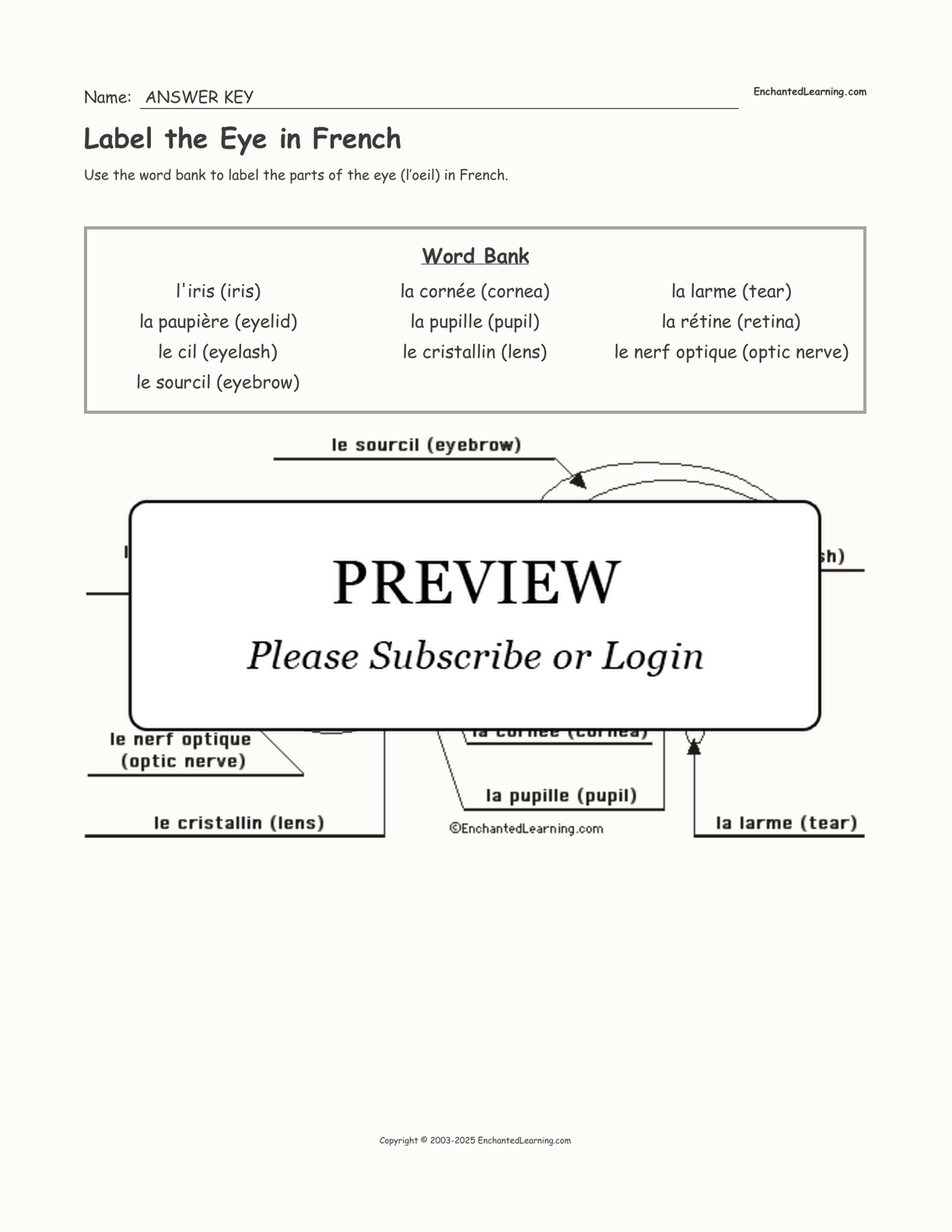 Label the Eye in French interactive worksheet page 2