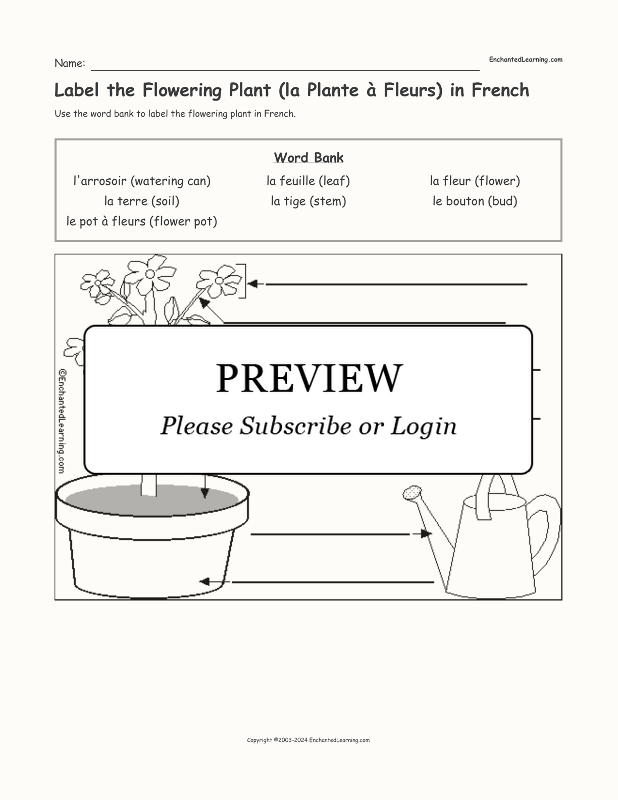 Label the Flowering Plant (la Plante à Fleurs) in French interactive worksheet page 1
