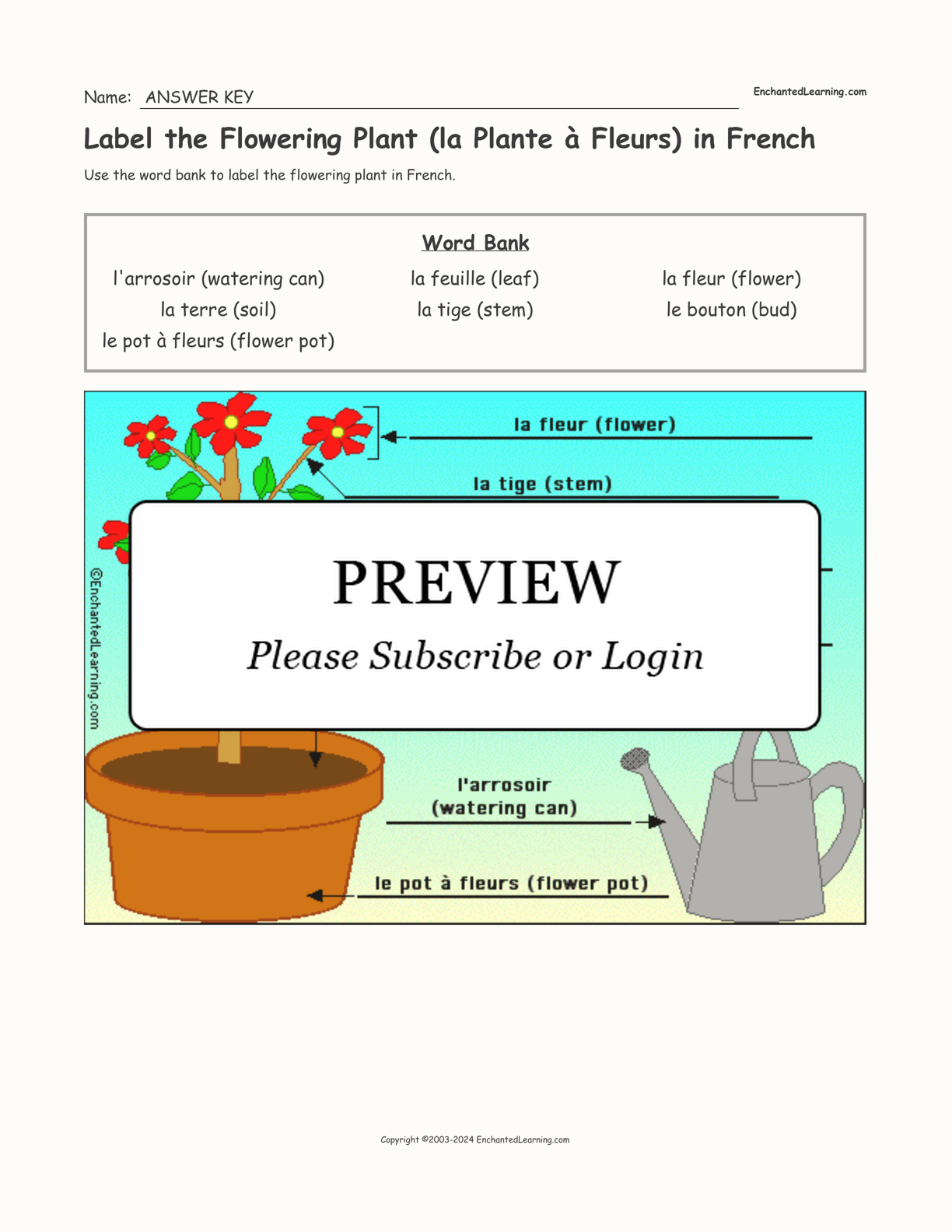Label the Flowering Plant (la Plante à Fleurs) in French interactive worksheet page 2