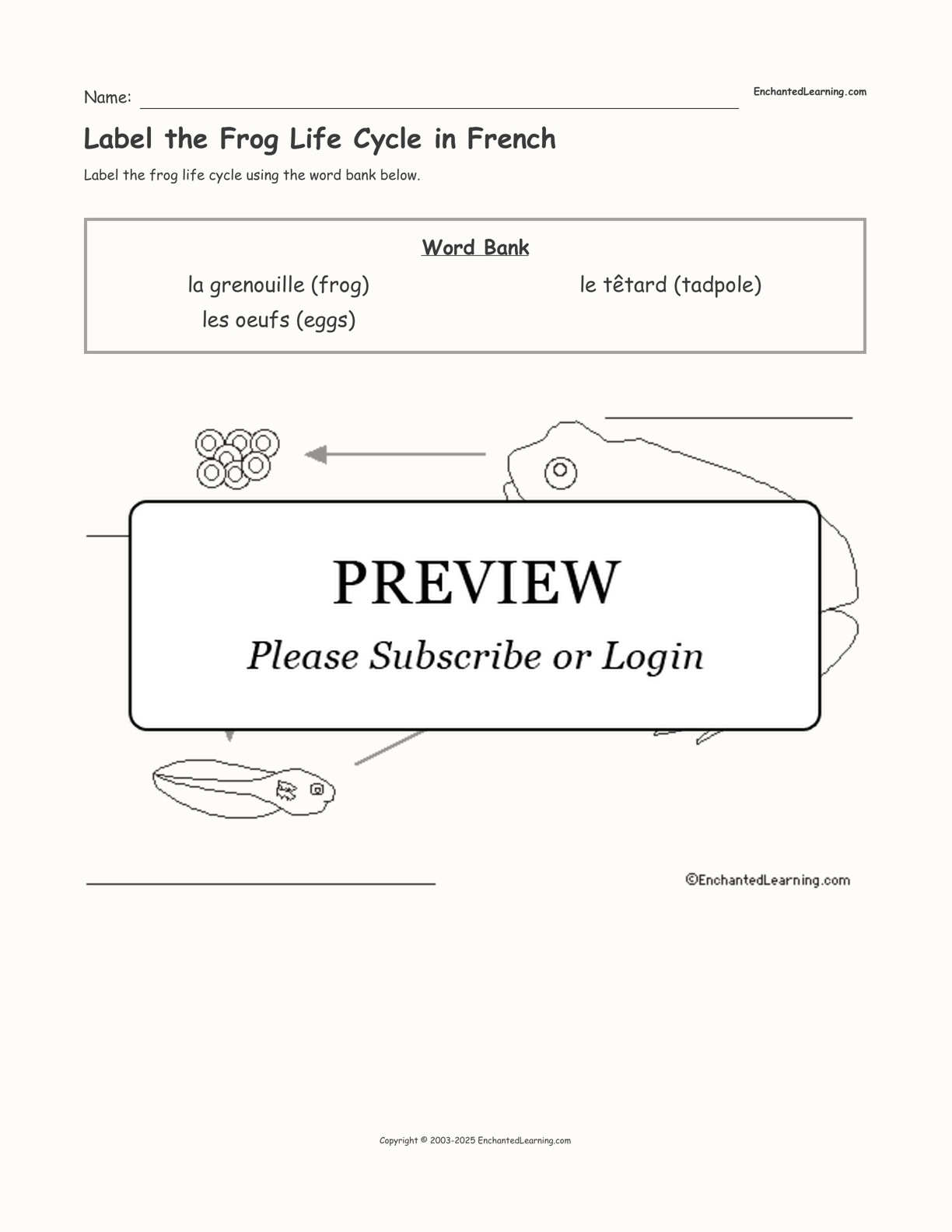 Label the Frog Life Cycle in French interactive worksheet page 1