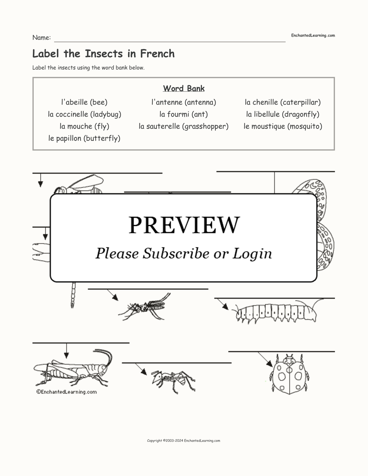 Label the Insects in French interactive worksheet page 1