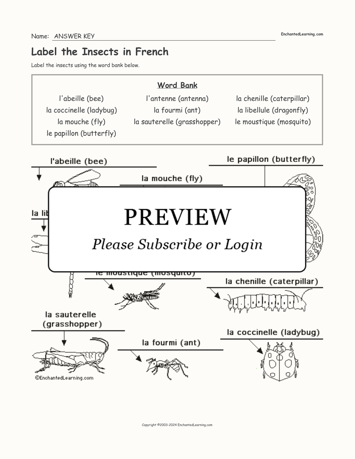 Label the Insects in French interactive worksheet page 2
