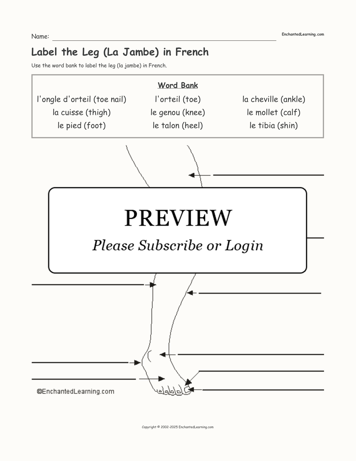 Label the Leg (La Jambe) in French interactive worksheet page 1