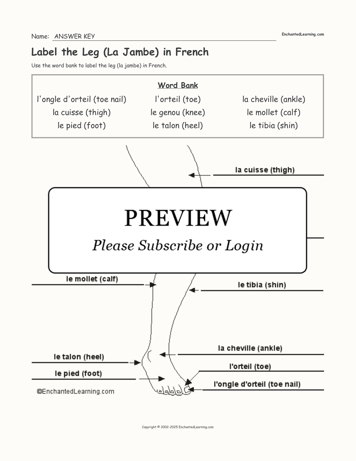 Label the Leg (La Jambe) in French interactive worksheet page 2