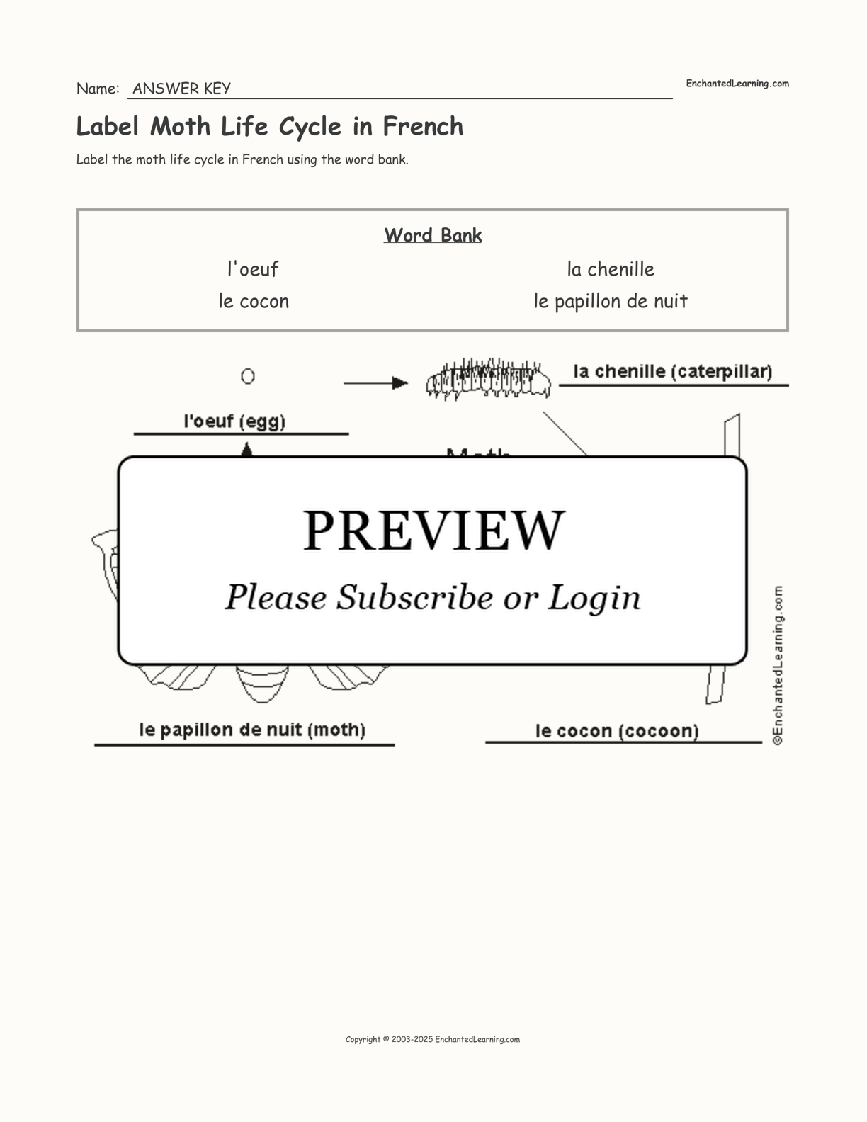 Label Moth Life Cycle in French interactive worksheet page 2