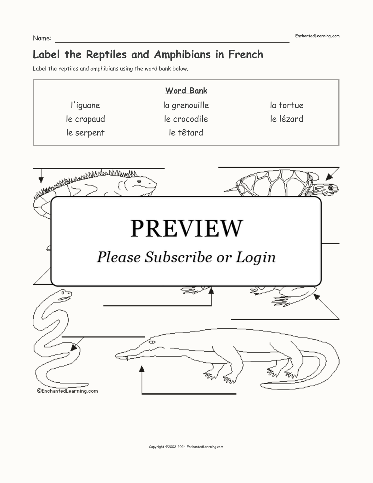 Label the Reptiles and Amphibians in French interactive worksheet page 1