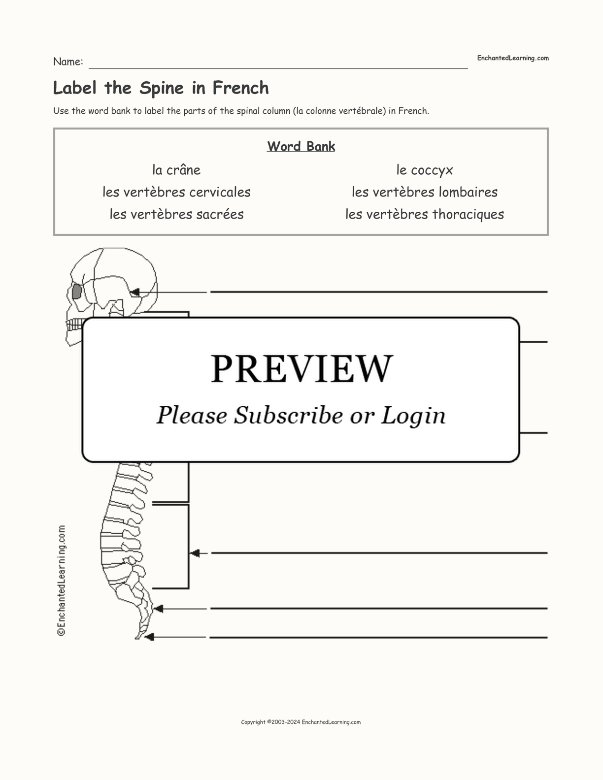 Label the Spine in French interactive worksheet page 1