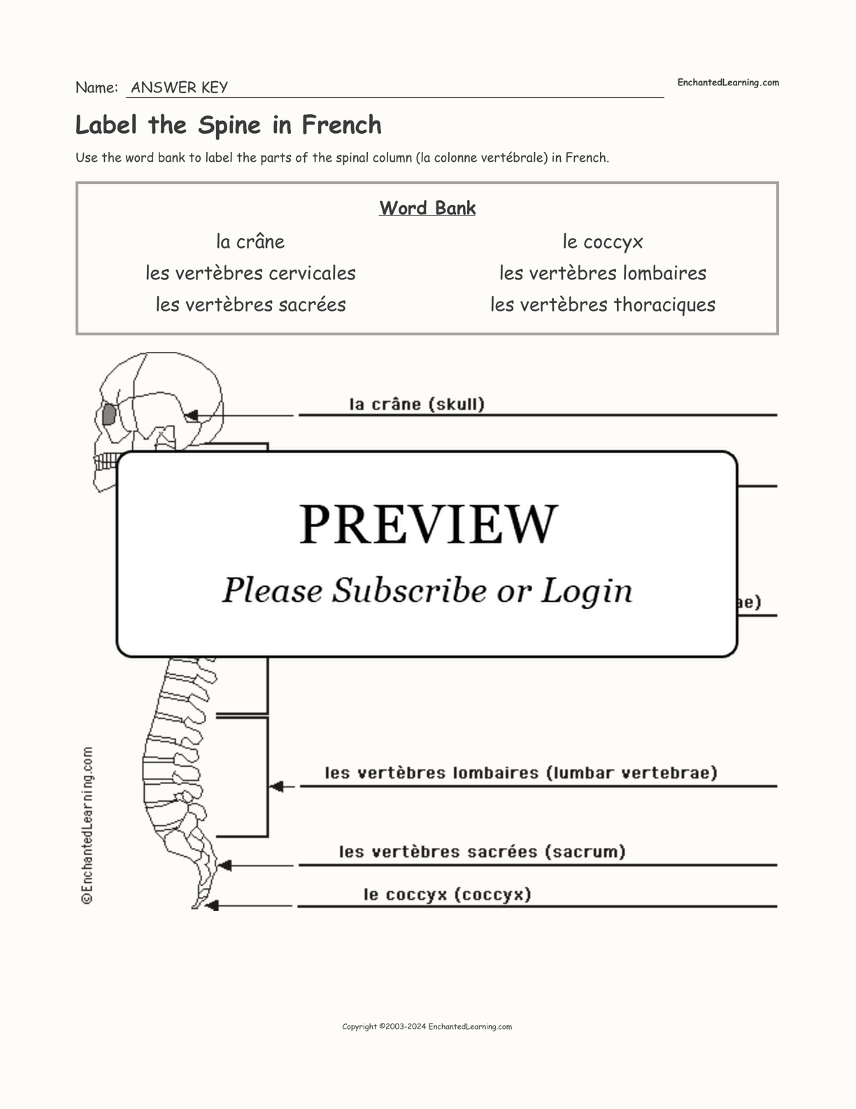 Label the Spine in French interactive worksheet page 2