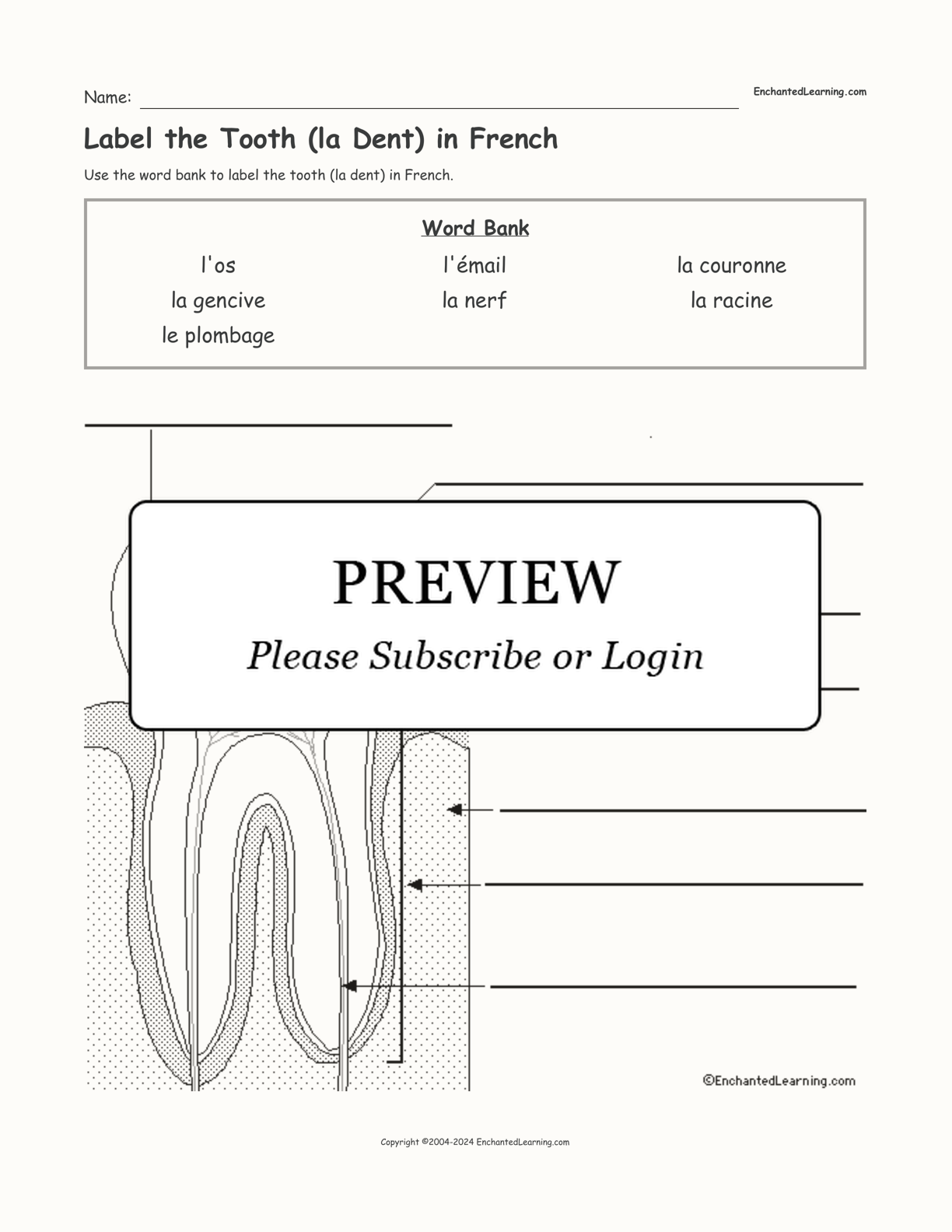 Label the Tooth (la Dent) in French interactive worksheet page 1
