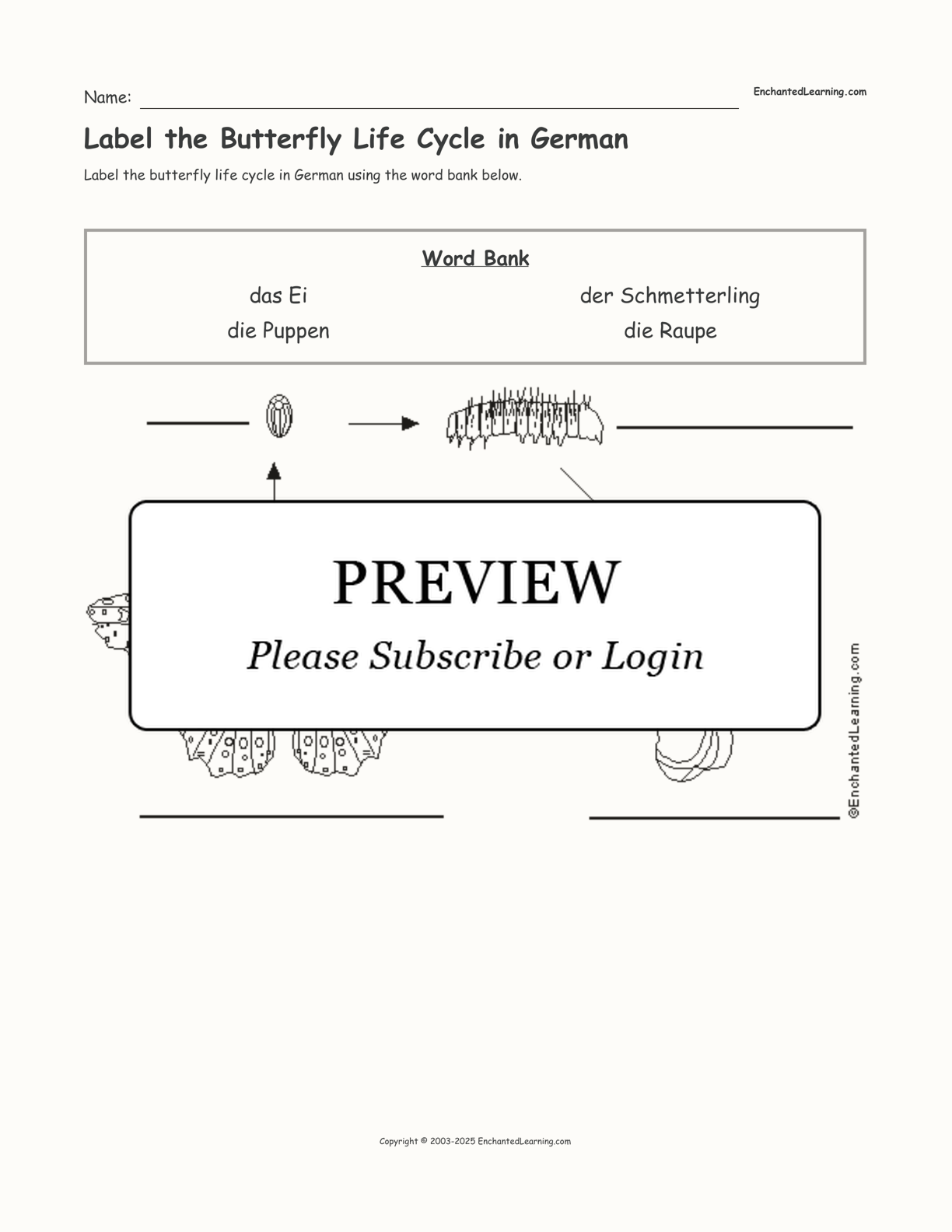 Label the Butterfly Life Cycle in German interactive worksheet page 1