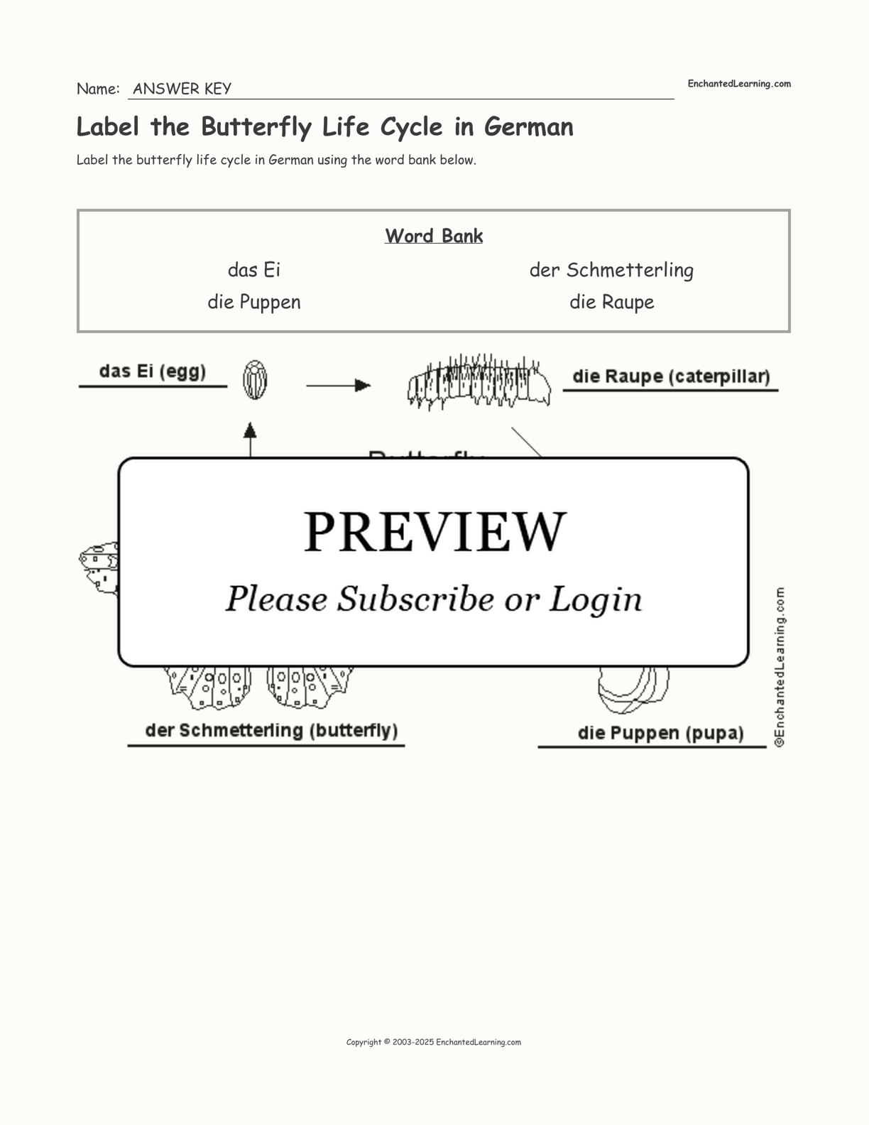 Label the Butterfly Life Cycle in German interactive worksheet page 2