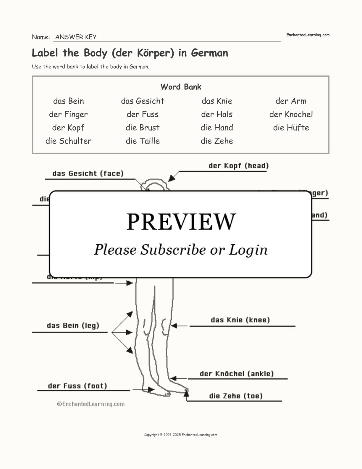 Label the Body (der Körper) in German interactive worksheet page 2