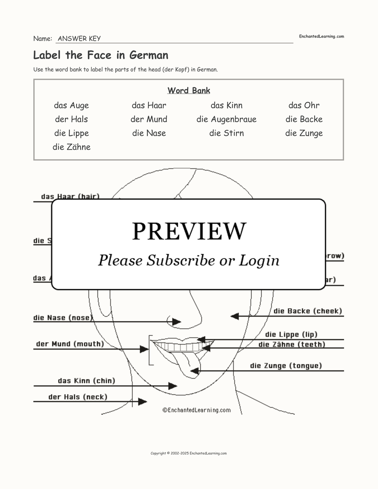 Label the Face in German interactive worksheet page 2