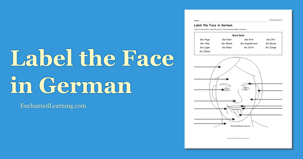Label the Face in German Enchanted Learning