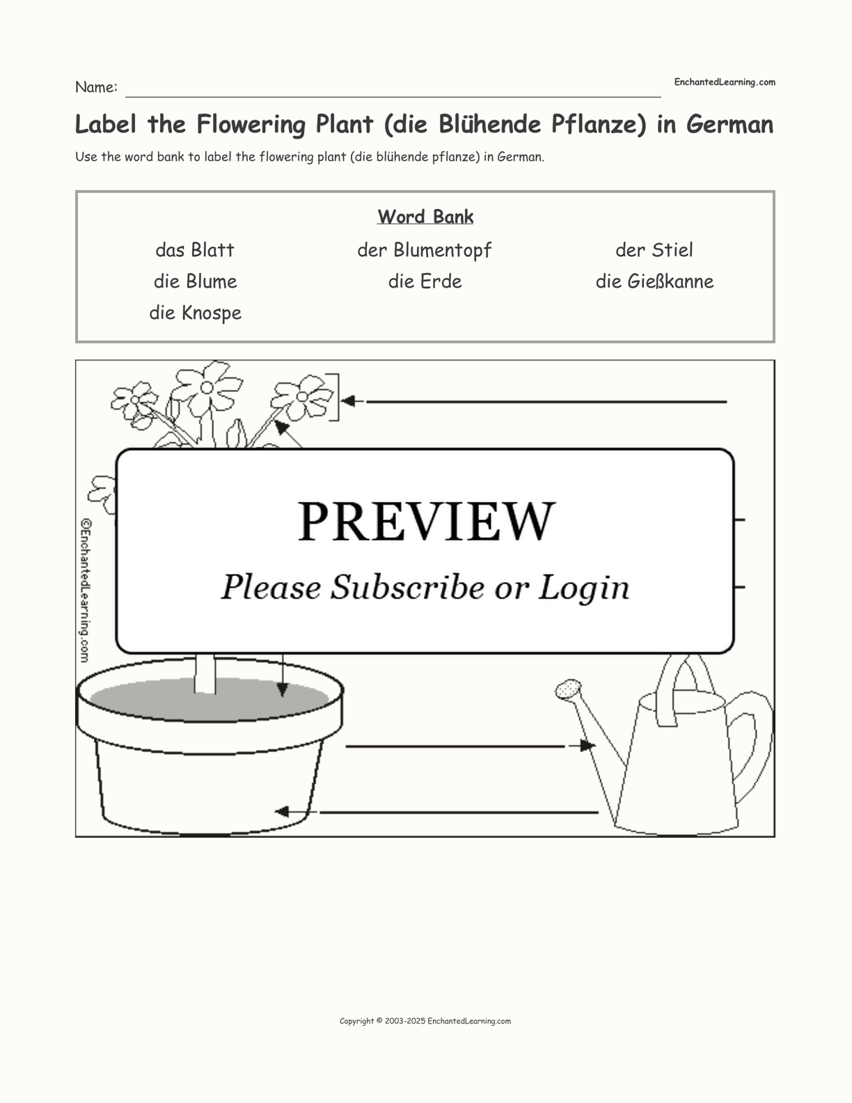 Label the Flowering Plant (die Blühende Pflanze) in German interactive worksheet page 1