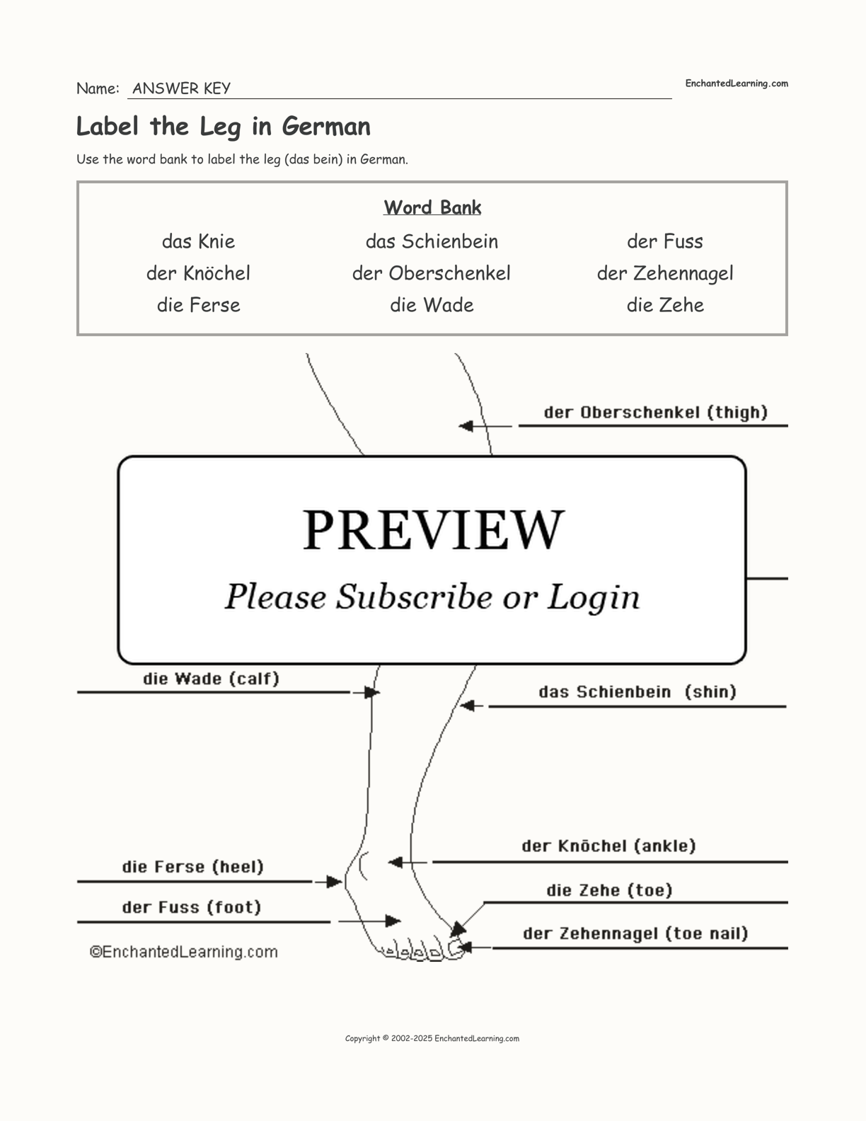 Label the Leg in German interactive worksheet page 2