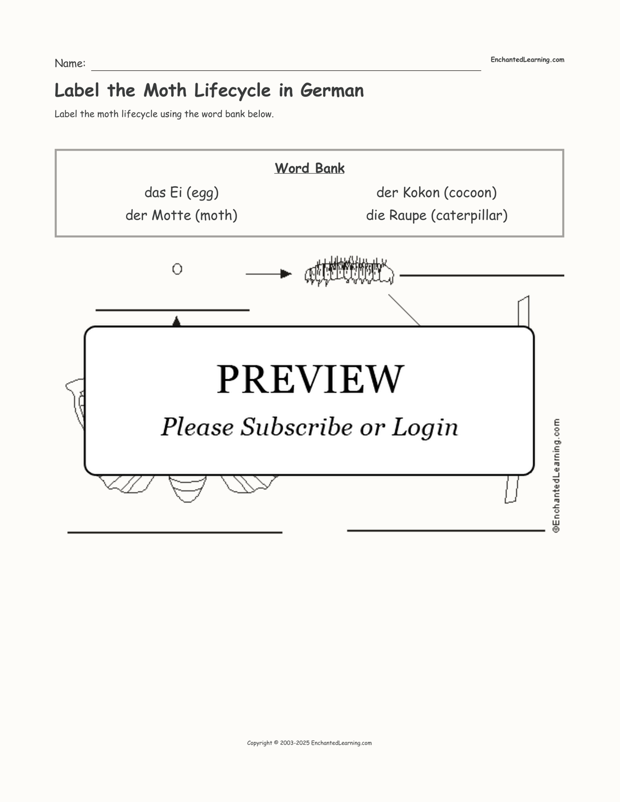 Label the Moth Lifecycle in German interactive worksheet page 1