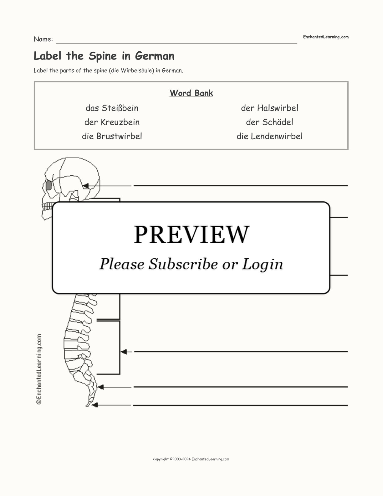 Label the Spine in German interactive worksheet page 1