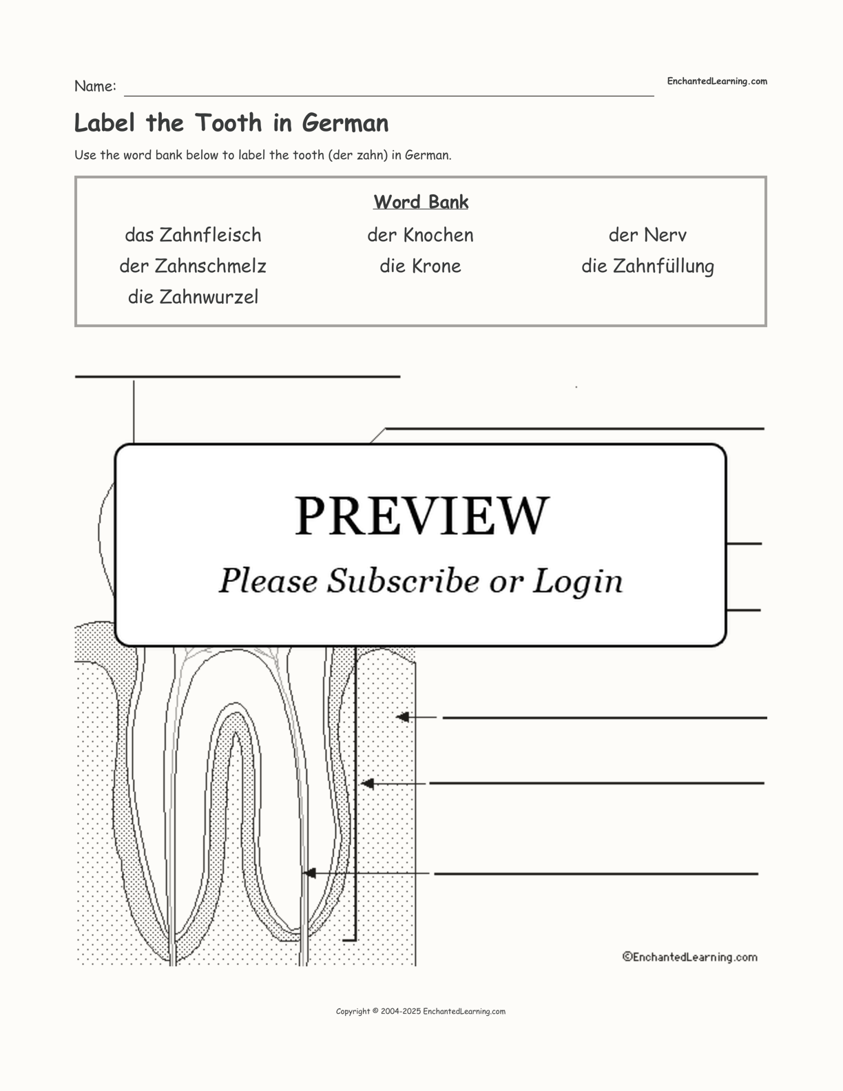 Label the Tooth in German interactive worksheet page 1