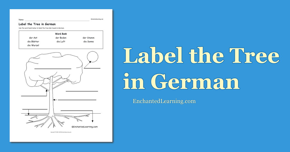 Label the Tree in German Enchanted Learning