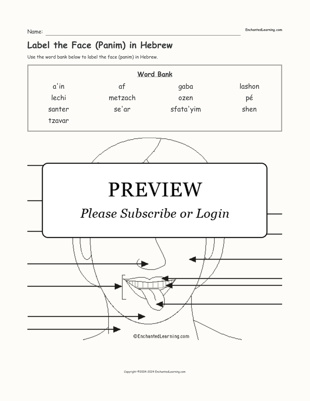 Label the Face (Panim) in Hebrew interactive worksheet page 1