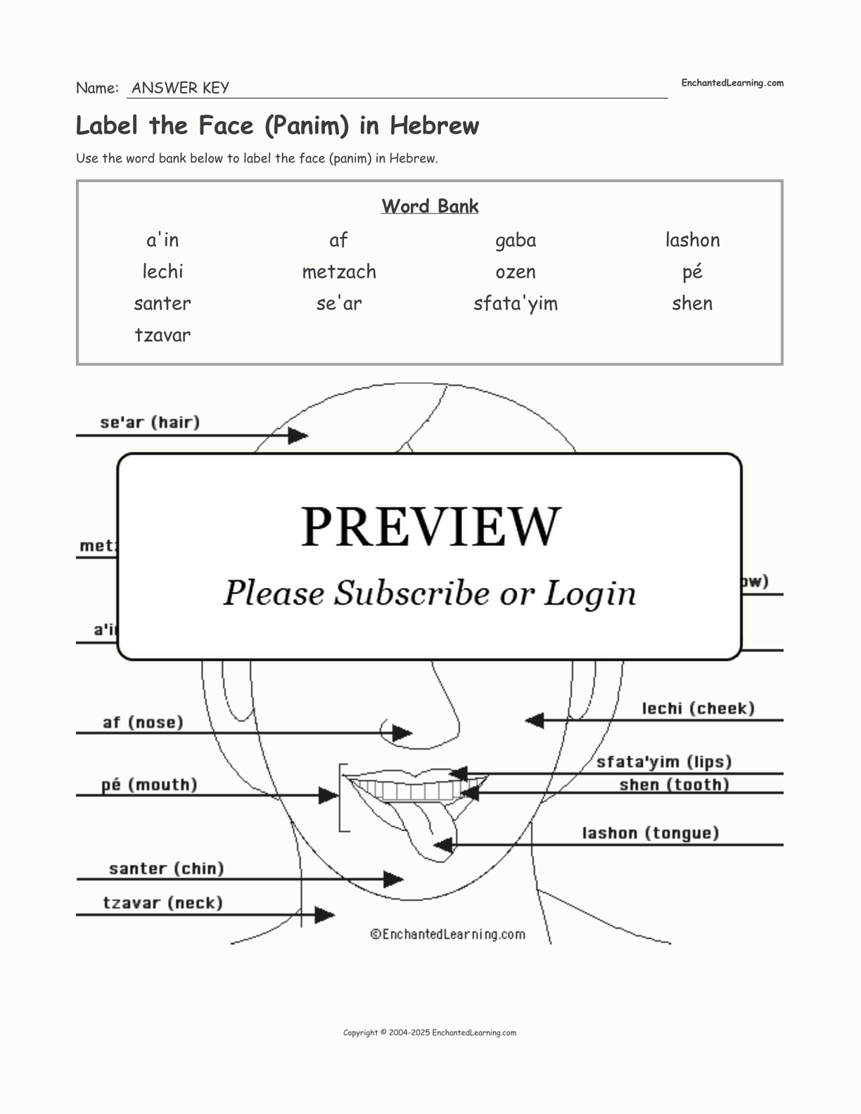 Label the Face (Panim) in Hebrew interactive worksheet page 2