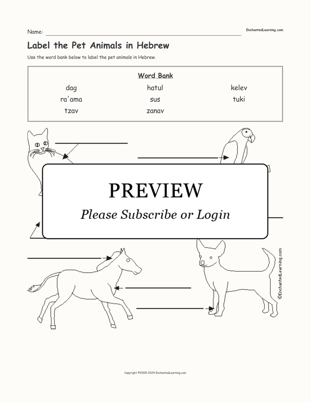 Label the Pet Animals in Hebrew interactive worksheet page 1