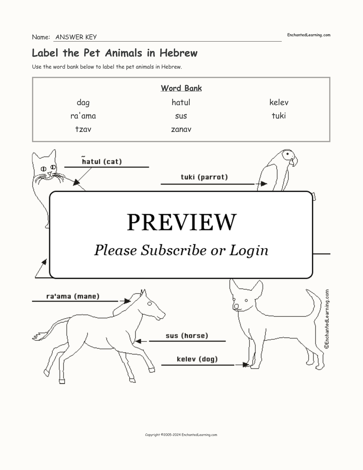 Label the Pet Animals in Hebrew interactive worksheet page 2
