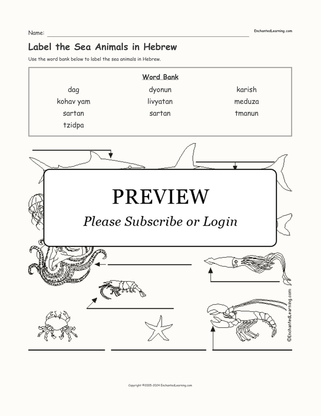 Label the Sea Animals in Hebrew interactive worksheet page 1