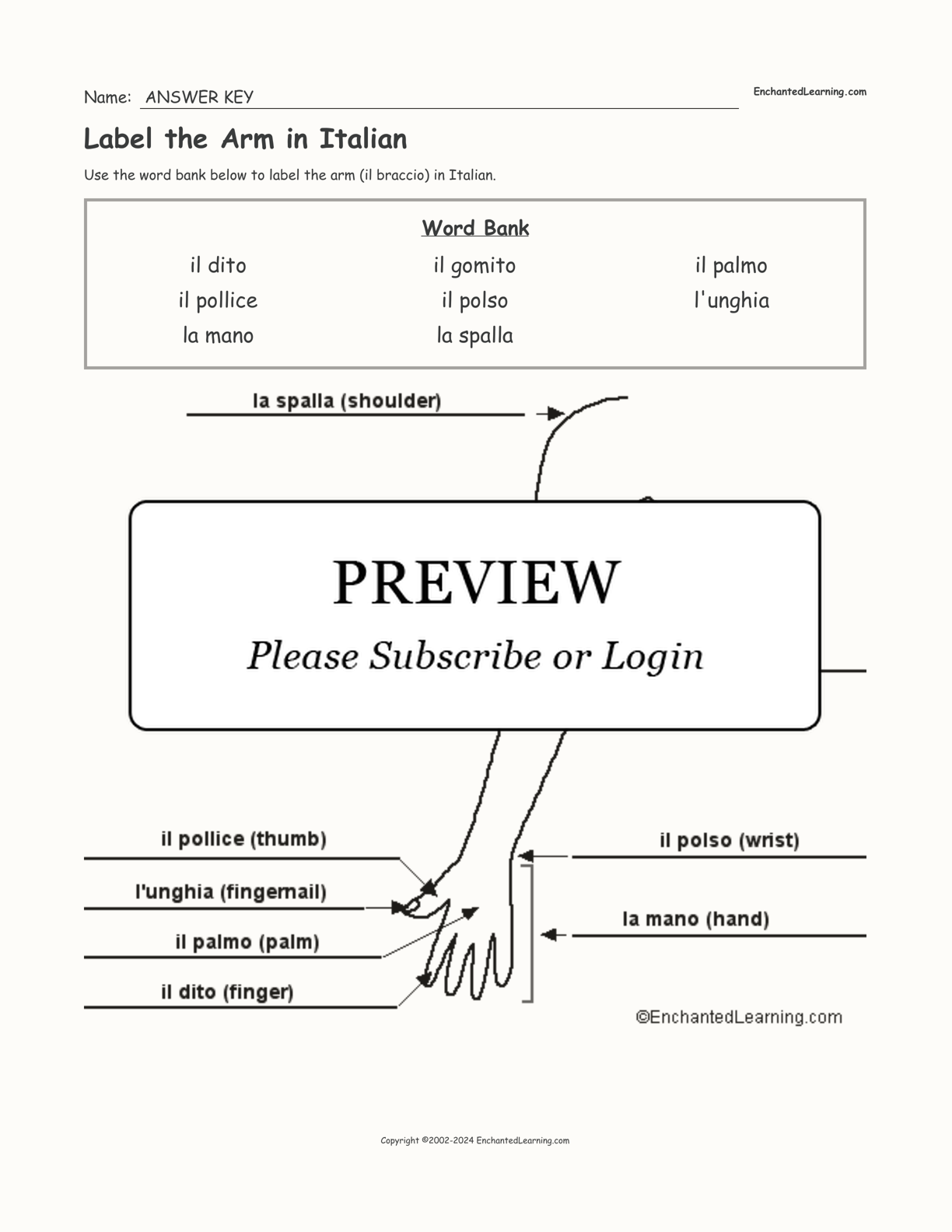 Label the Arm in Italian interactive worksheet page 2