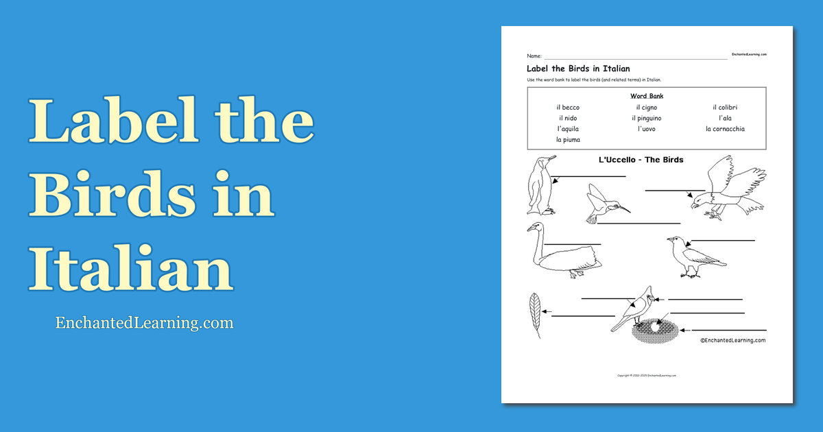 Label the Birds in Italian Enchanted Learning