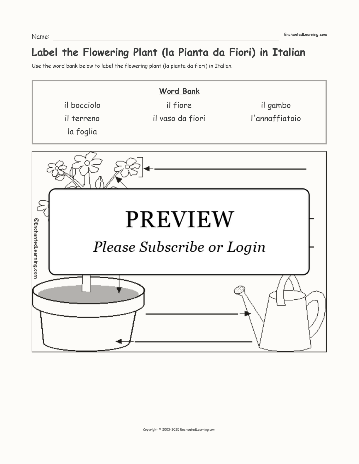 Label the Flowering Plant (la Pianta da Fiori) in Italian interactive worksheet page 1