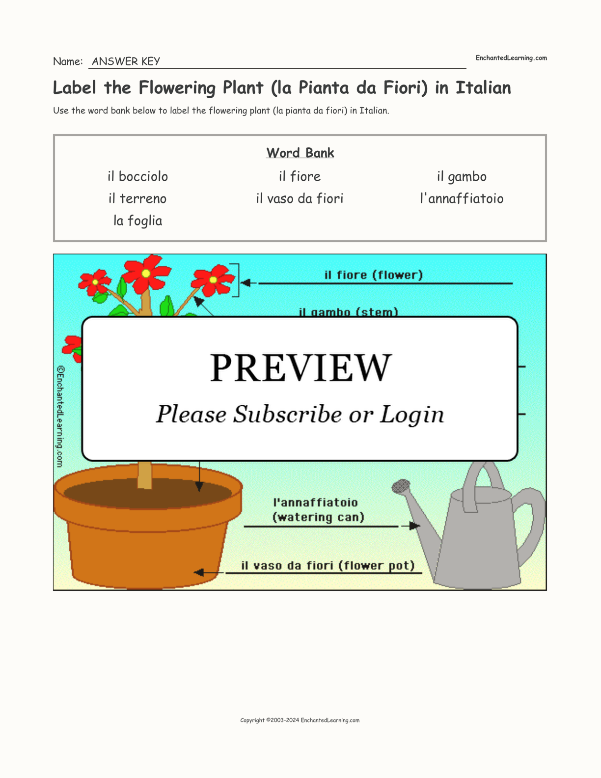 Label the Flowering Plant (la Pianta da Fiori) in Italian interactive worksheet page 2