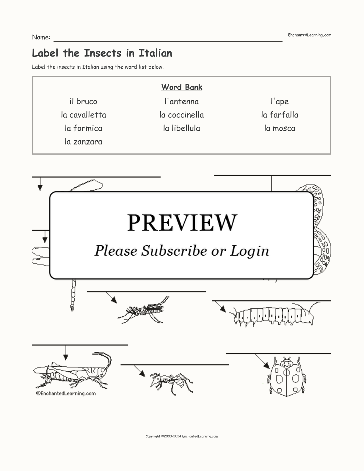 Label the Insects in Italian interactive worksheet page 1
