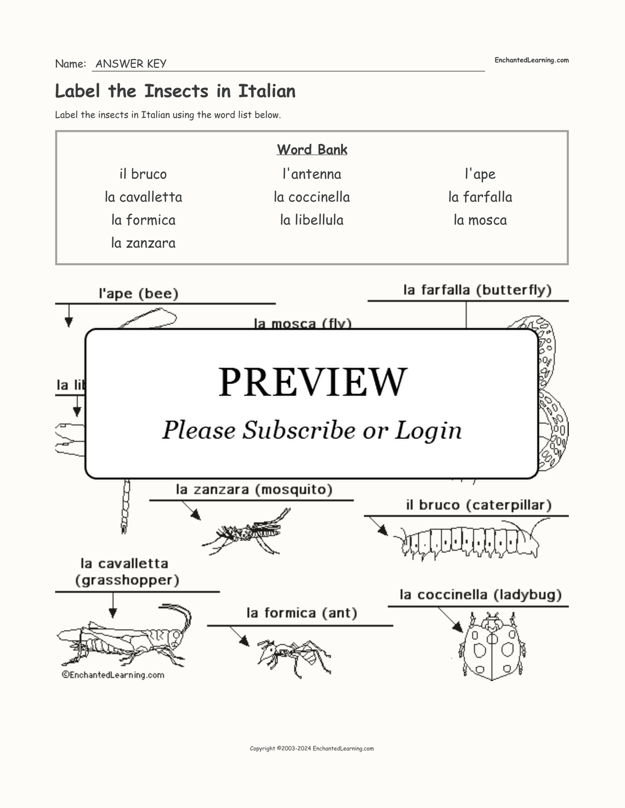 Label the Insects in Italian interactive worksheet page 2