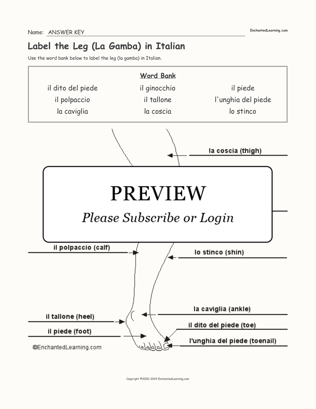 Label the Leg (La Gamba) in Italian interactive worksheet page 2