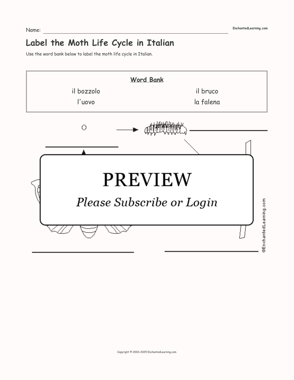 Label the Moth Life Cycle in Italian interactive worksheet page 1