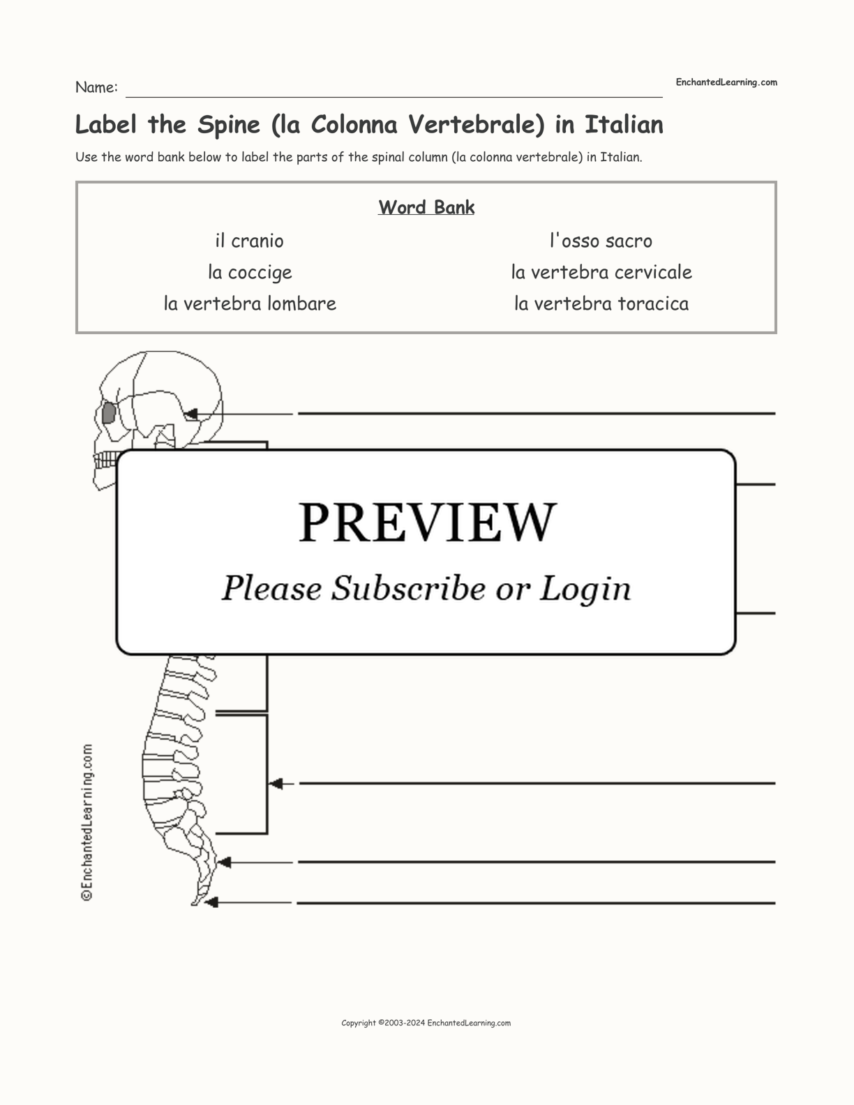 Label the Spine (la Colonna Vertebrale) in Italian interactive worksheet page 1