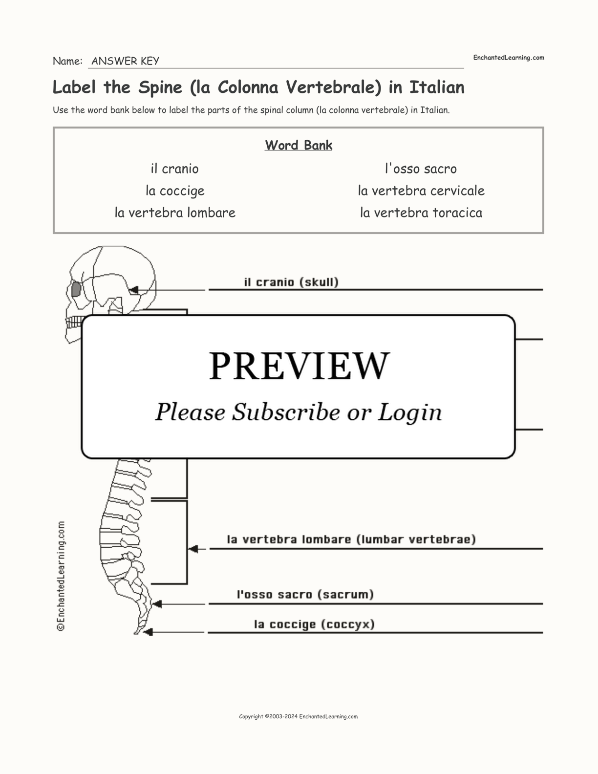 Label the Spine (la Colonna Vertebrale) in Italian interactive worksheet page 2