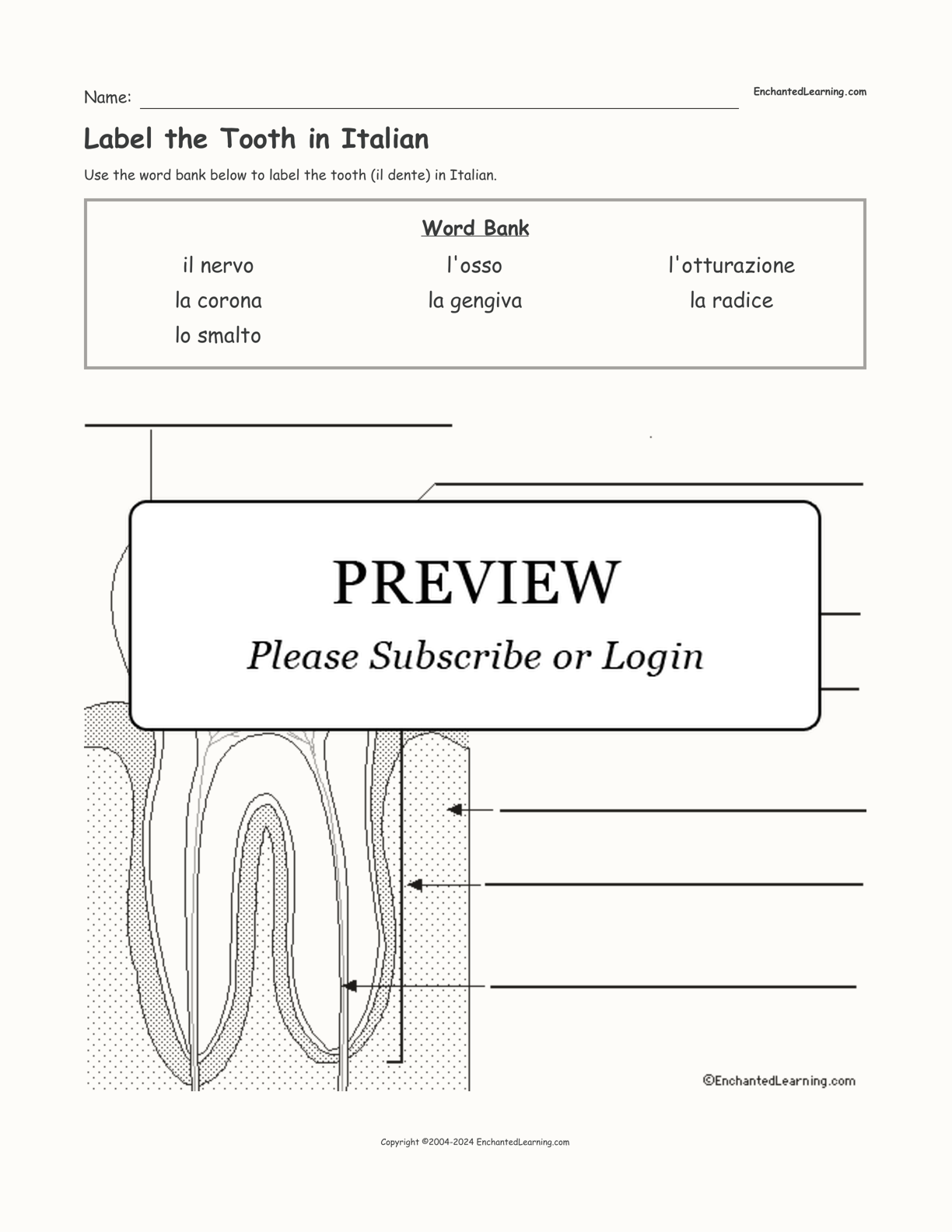 Label the Tooth in Italian interactive worksheet page 1